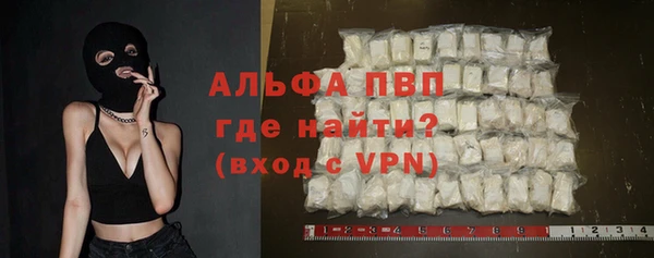ECSTASY Бородино
