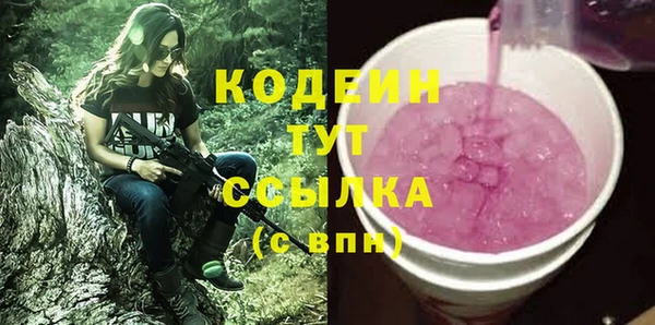 ECSTASY Бородино