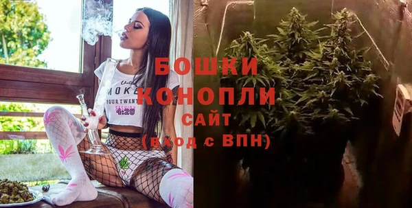 ECSTASY Бородино