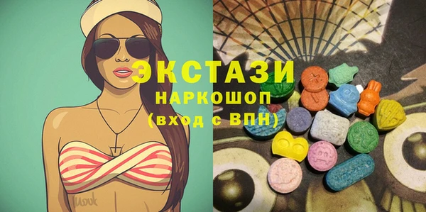 ECSTASY Бородино