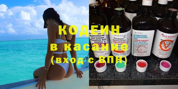 ECSTASY Бородино
