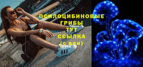 ECSTASY Бородино