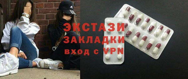 ECSTASY Бородино
