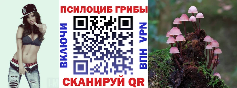 Псилоцибиновые грибы прущие грибы Данков